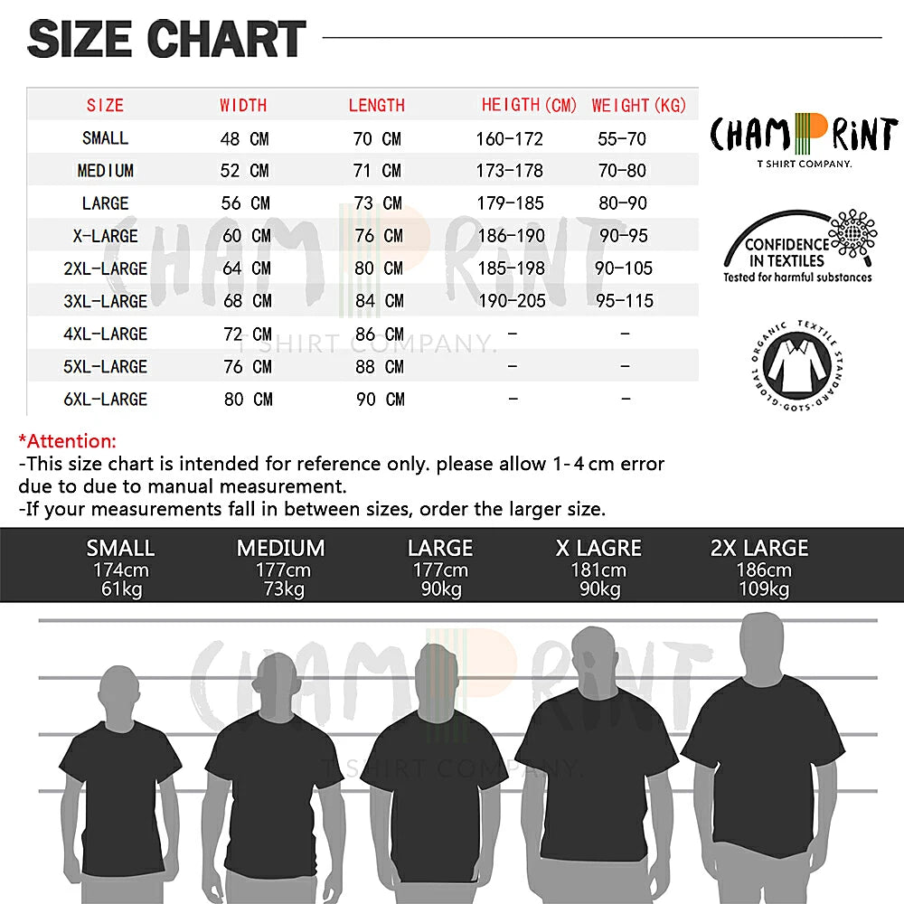 Megatron Transformers Decepticon Leader T-shirt